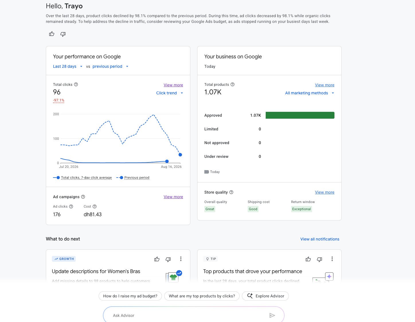 TRAYO Google Merchant Center product and advertising performance